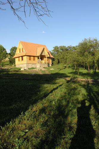 Diplomamunkám 2006